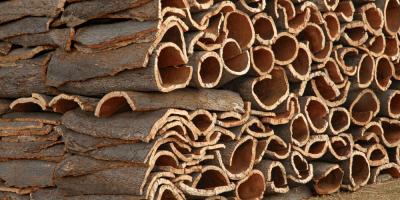 Oak Timber